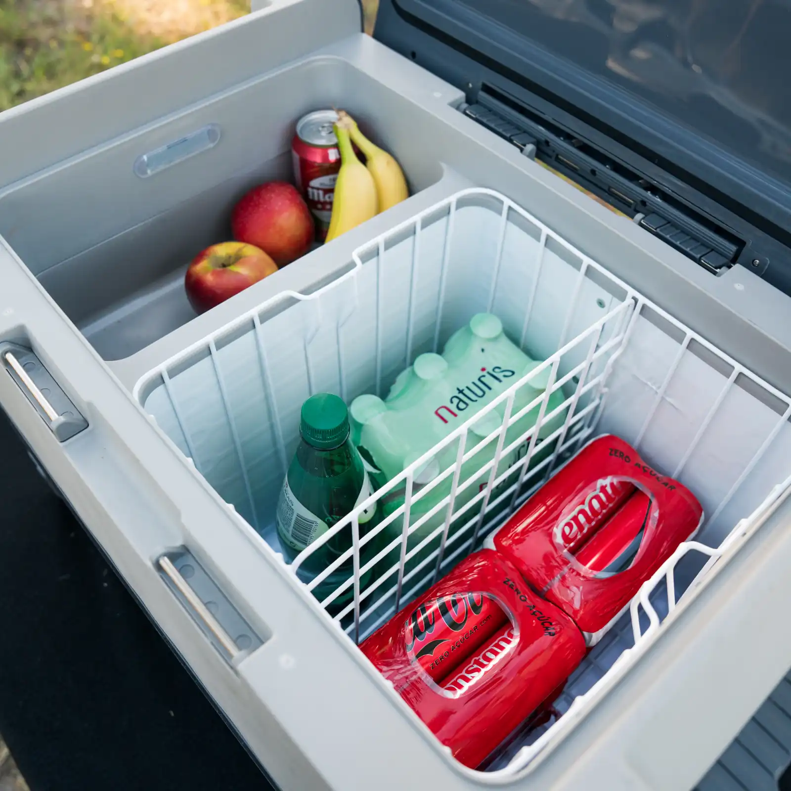 Kompressor-Kühlbox Pro-Line bis -22° C, 12/24 V (60 l)
