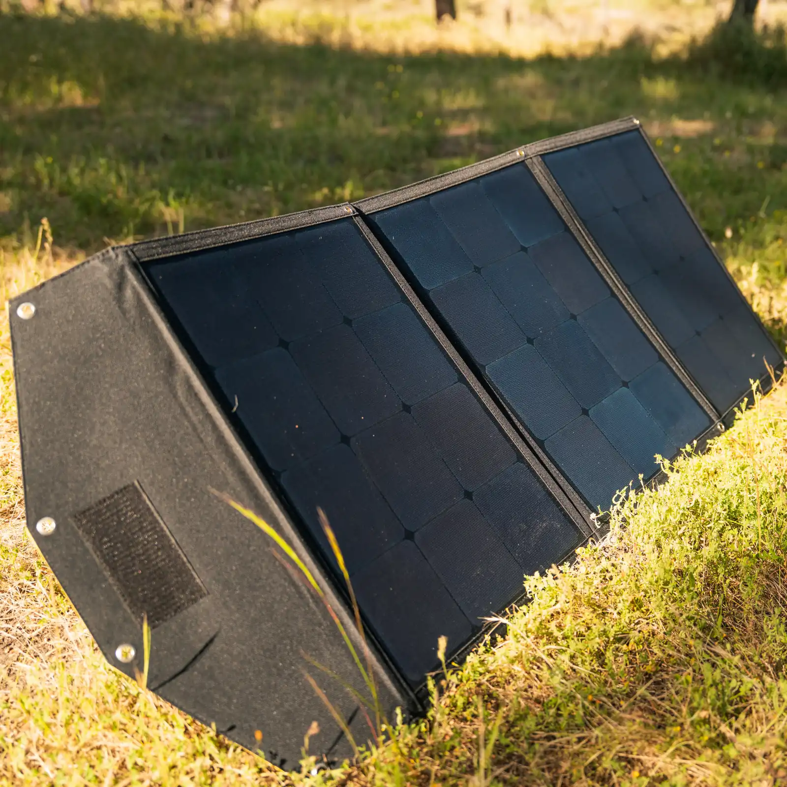 Kompressor-Kühlbox Pro-Line bis -22° C, 12/24 V (60 l)   Solarpanel